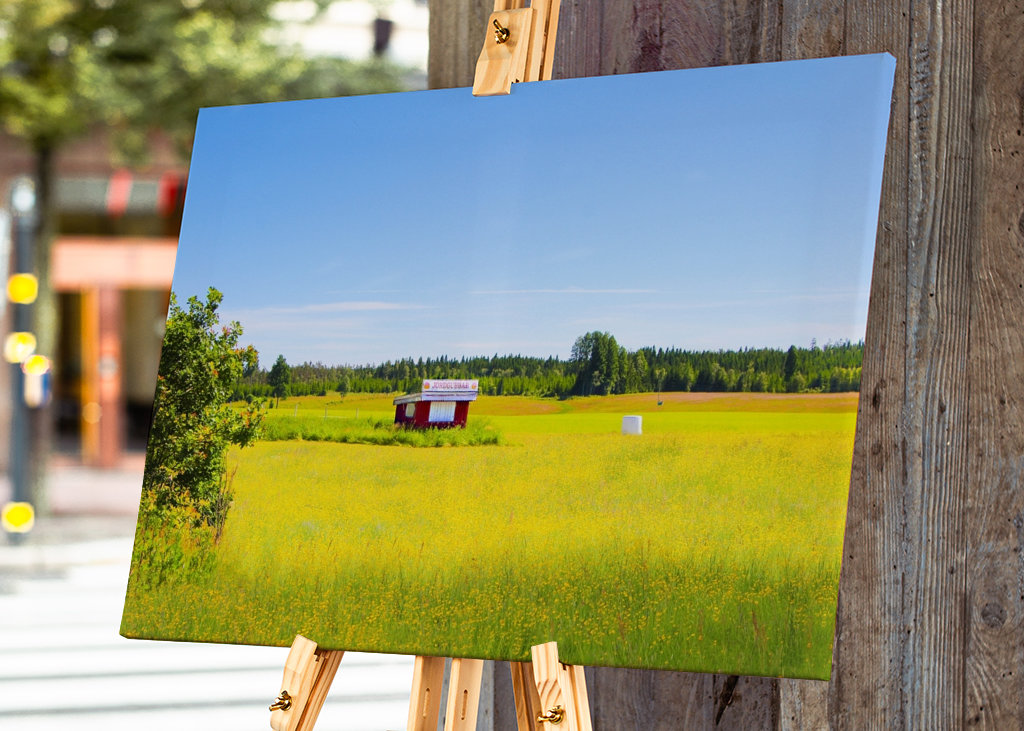 Letní pole s jahodami 