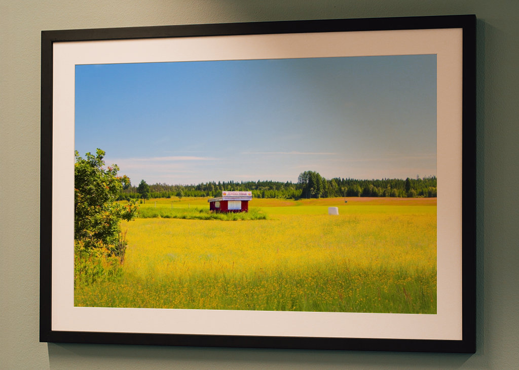 Letní pole s jahodami 