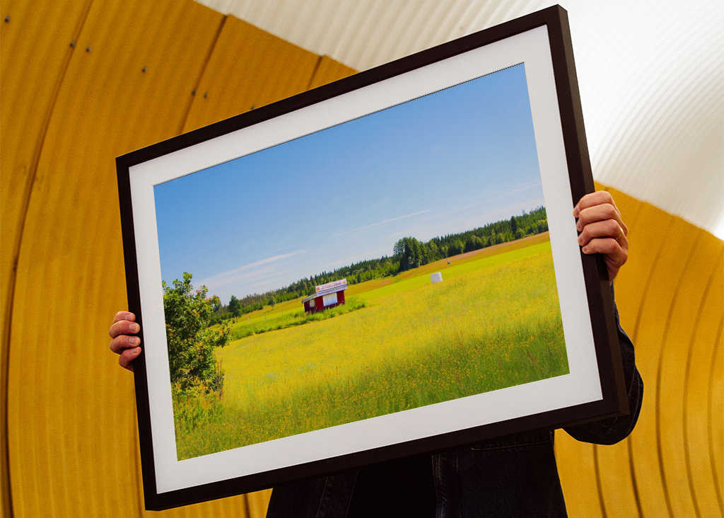 Letní pole s jahodami 