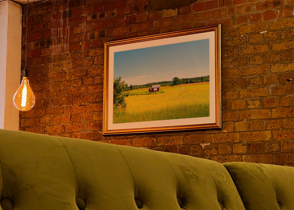 Letní pole s jahodami 