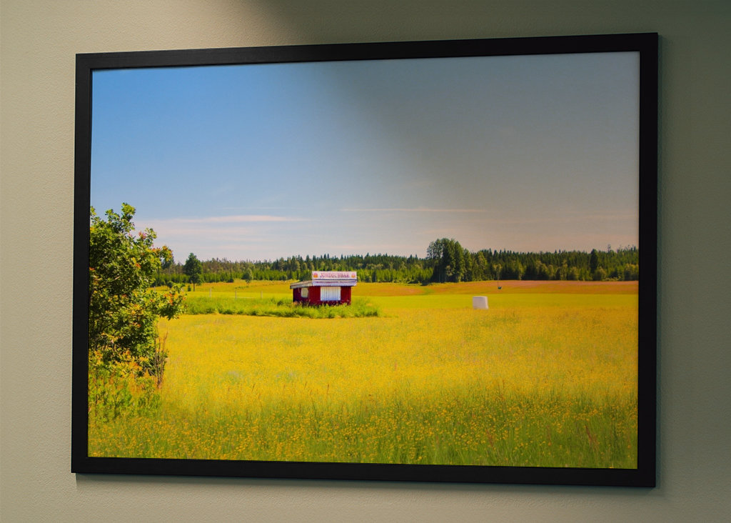 Letní pole s jahodami 