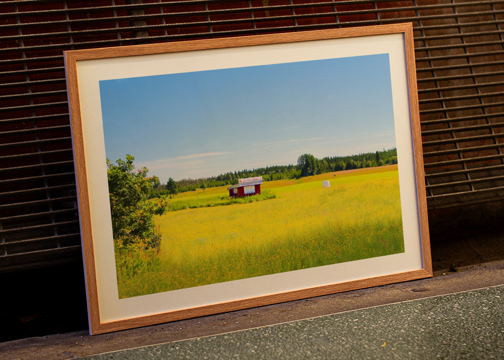 Letní pole s jahodami 