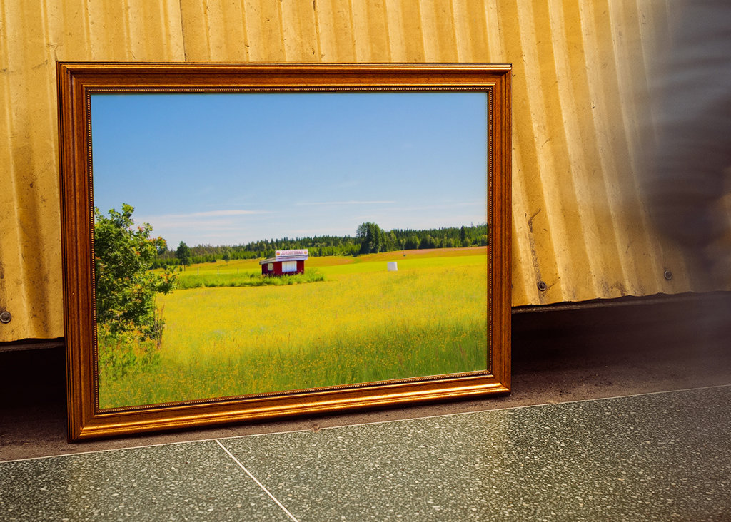 Letní pole s jahodami 