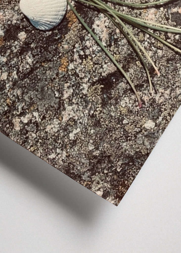 Erinnerungen an das Meer