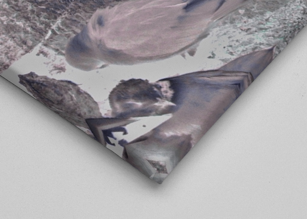 El acantilado de los pájaros