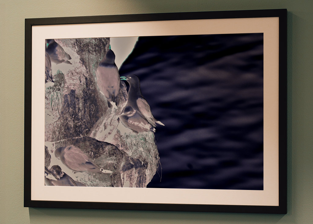 El acantilado de los pájaros