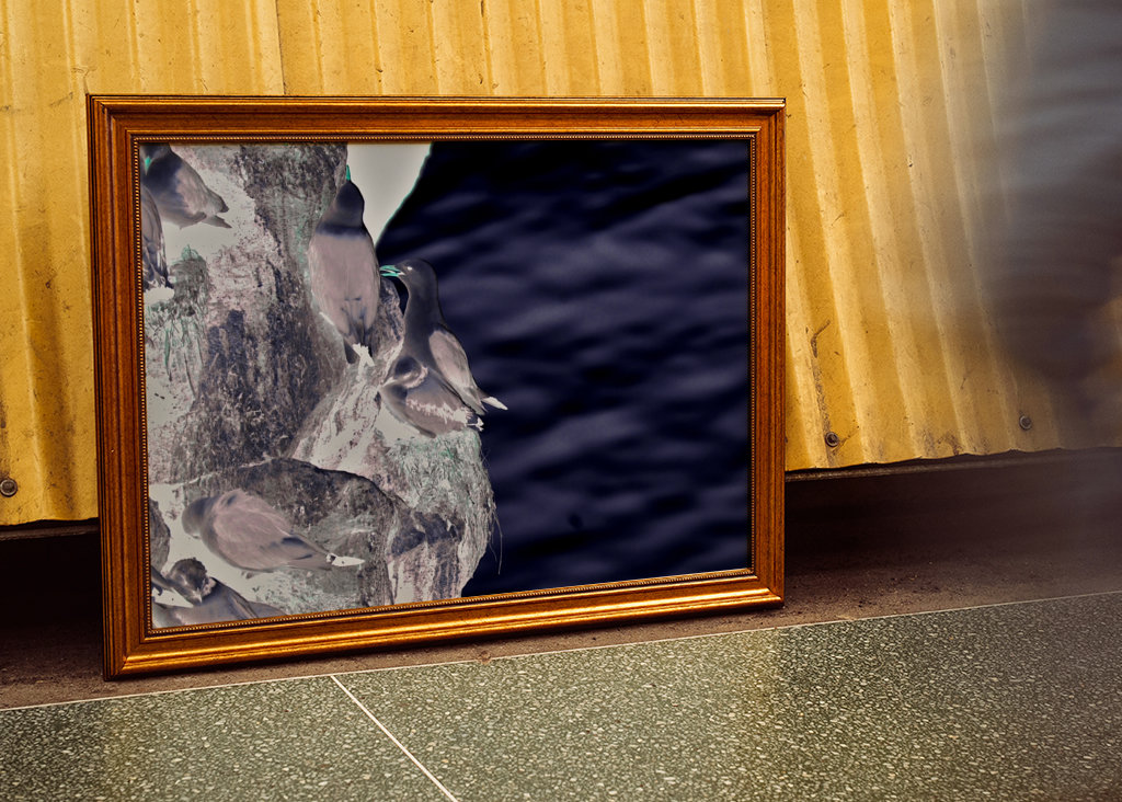 El acantilado de los pájaros