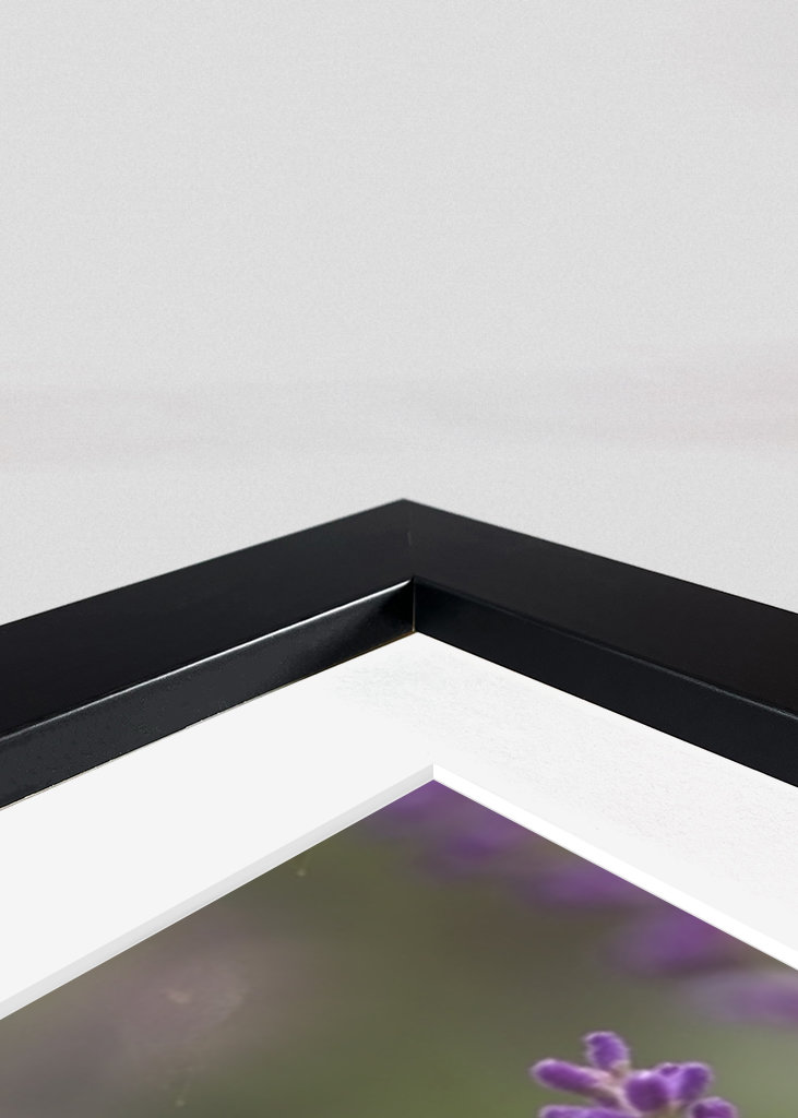 Humlebi i lavendelmarken I