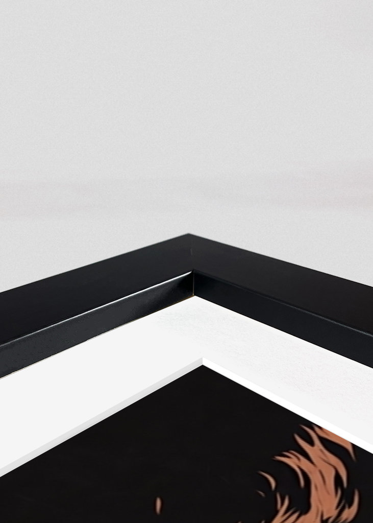 The Cure Illustratie Posters