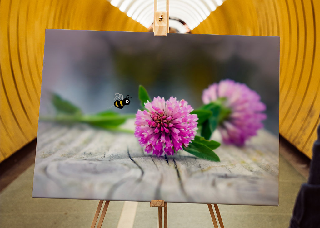 Rode klaver - Trifolium pratense