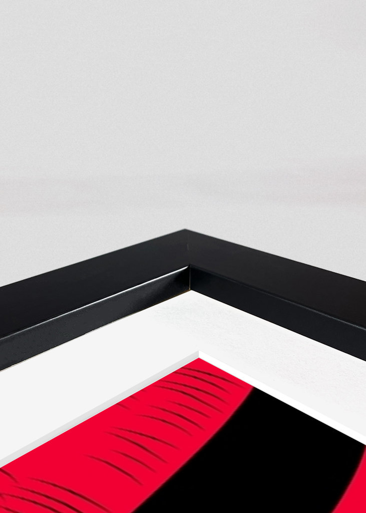 Anime one piece Shanks