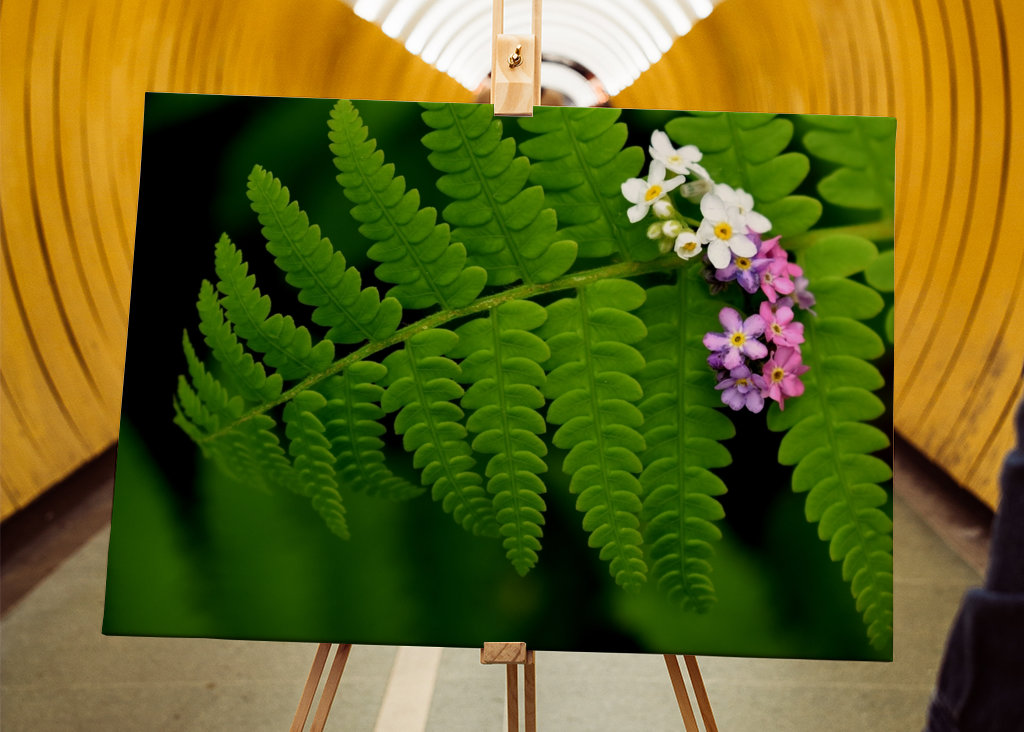 Bloemen op varens in de tuin