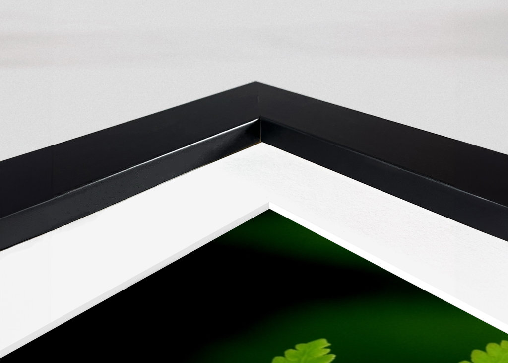 Bloemen op varens in de tuin