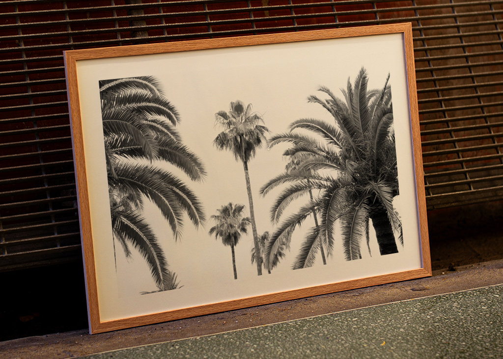 Palm Trees Beauty 3