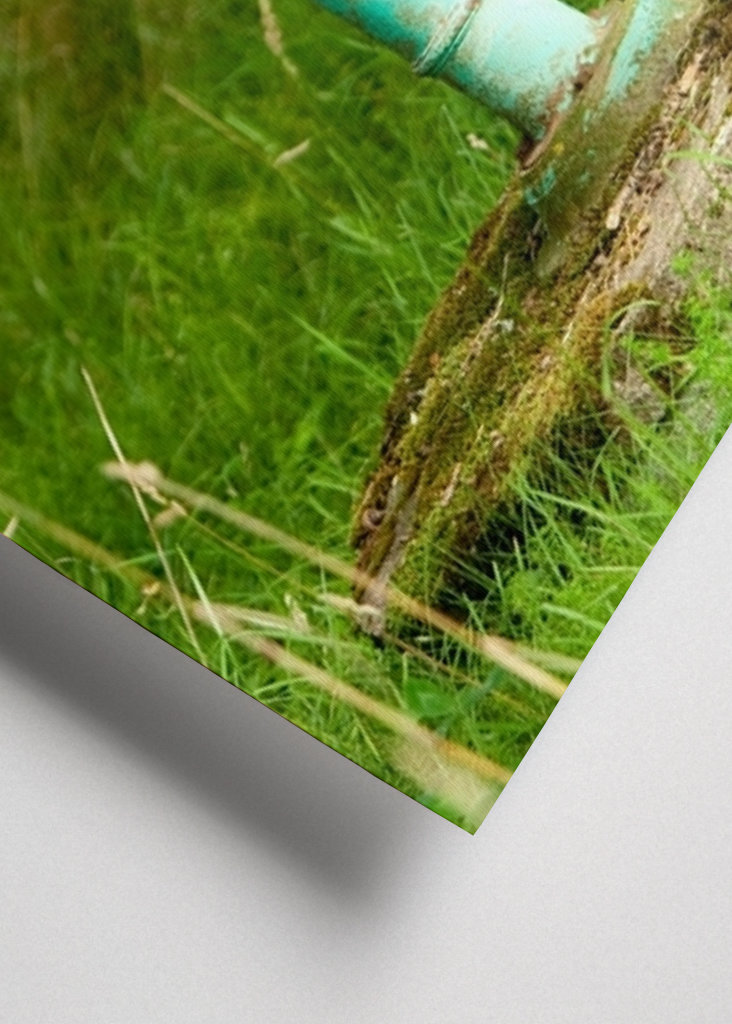 L’ancienne pompe à eau