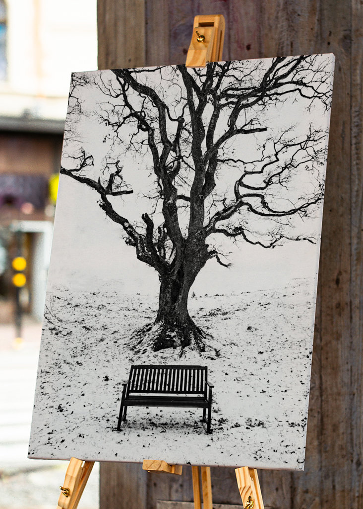 Under the old oaktree