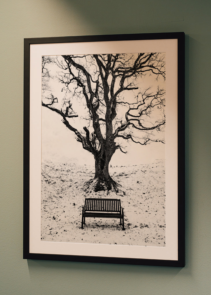 Under the old oaktree