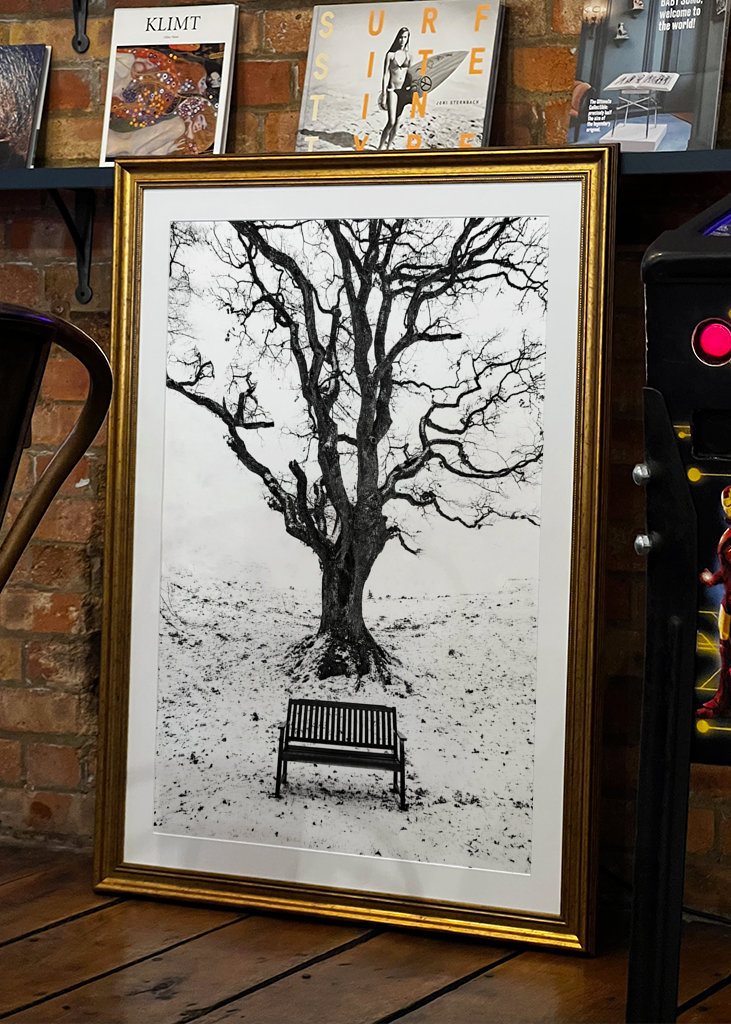 Under the old oaktree