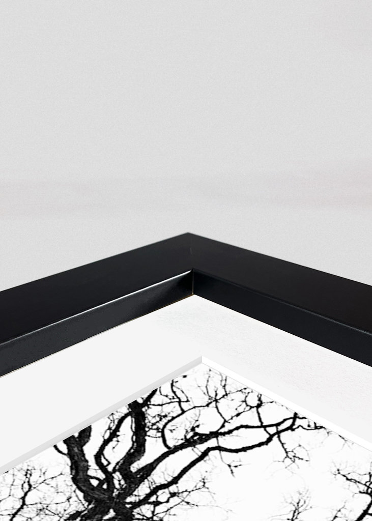 Under the old oaktree