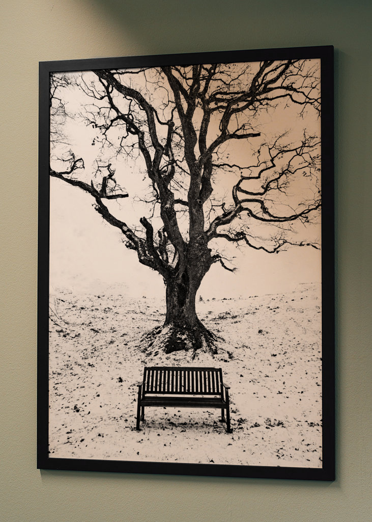 Under the old oaktree