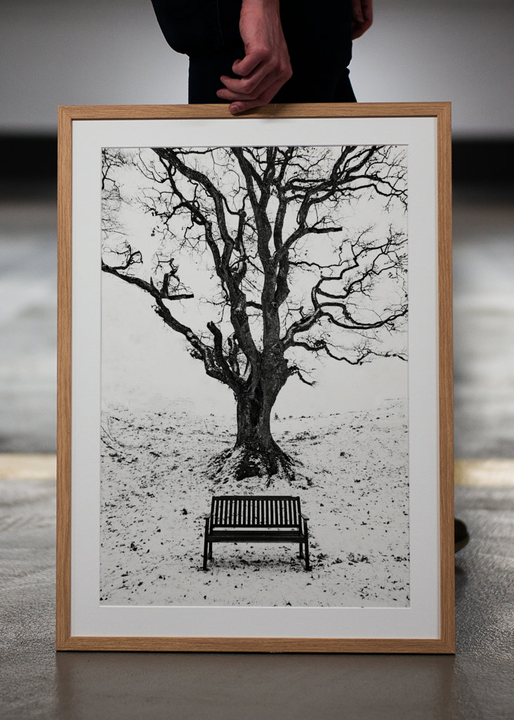 Under the old oaktree