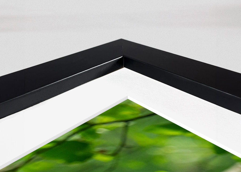 Een grote bonte specht op zoek naar voedsel