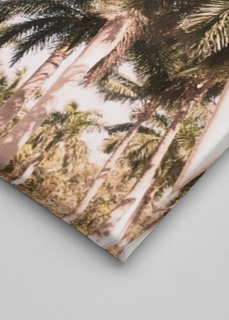 Floridian Palm Tree Vibes 2