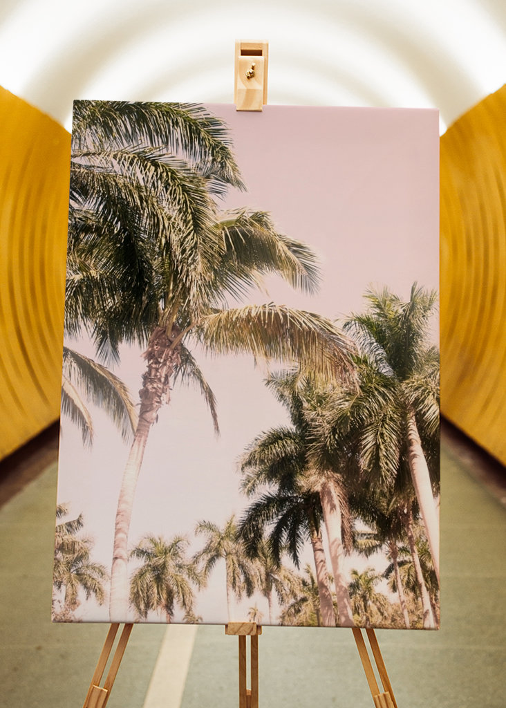 Floridian Palm Tree Vibes 2