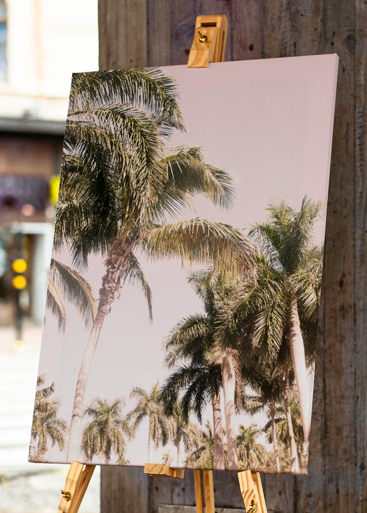 Floridian Palm Tree Vibes 2