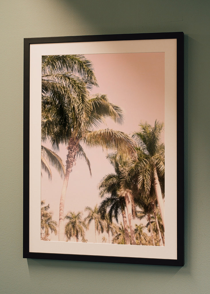 Floridian Palm Tree Vibes 2
