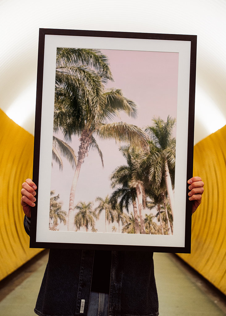 Floridian Palm Tree Vibes 2