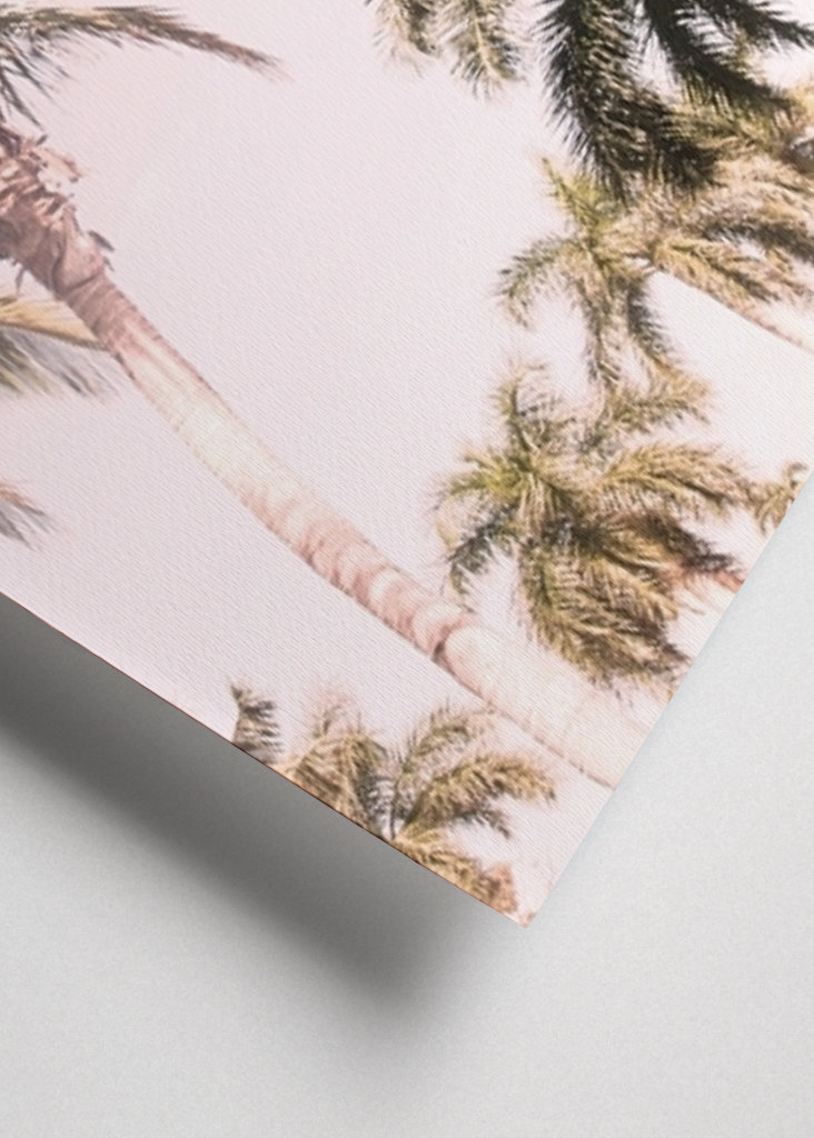 Floridian Palm Tree Vibes 2