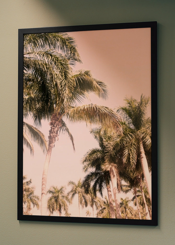 Floridian Palm Tree Vibes 2