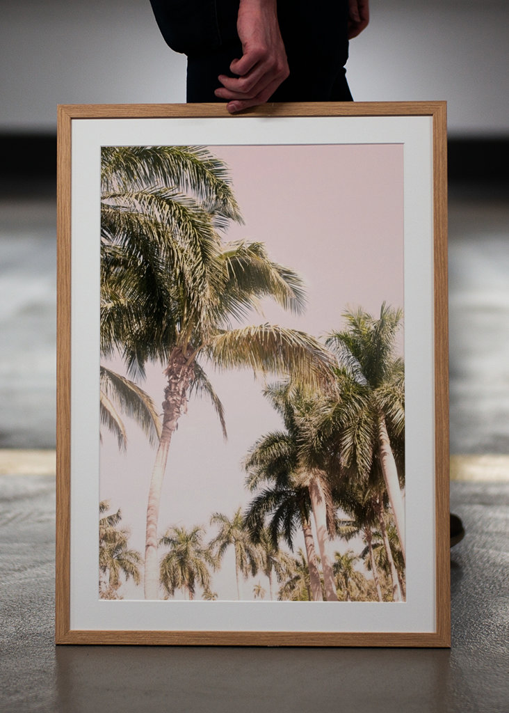Floridian Palm Tree Vibes 2