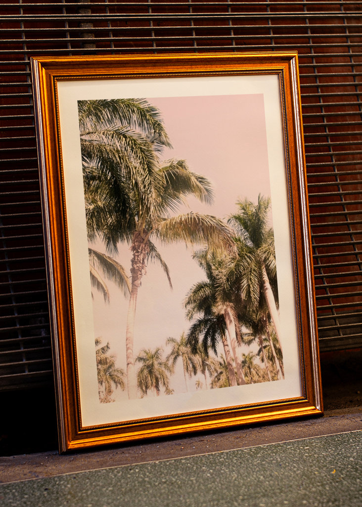 Floridian Palm Tree Vibes 2