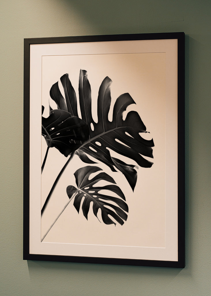 Tropische Monstera Finesse 2