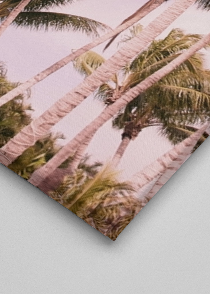 Palm Trees Finesse 1
