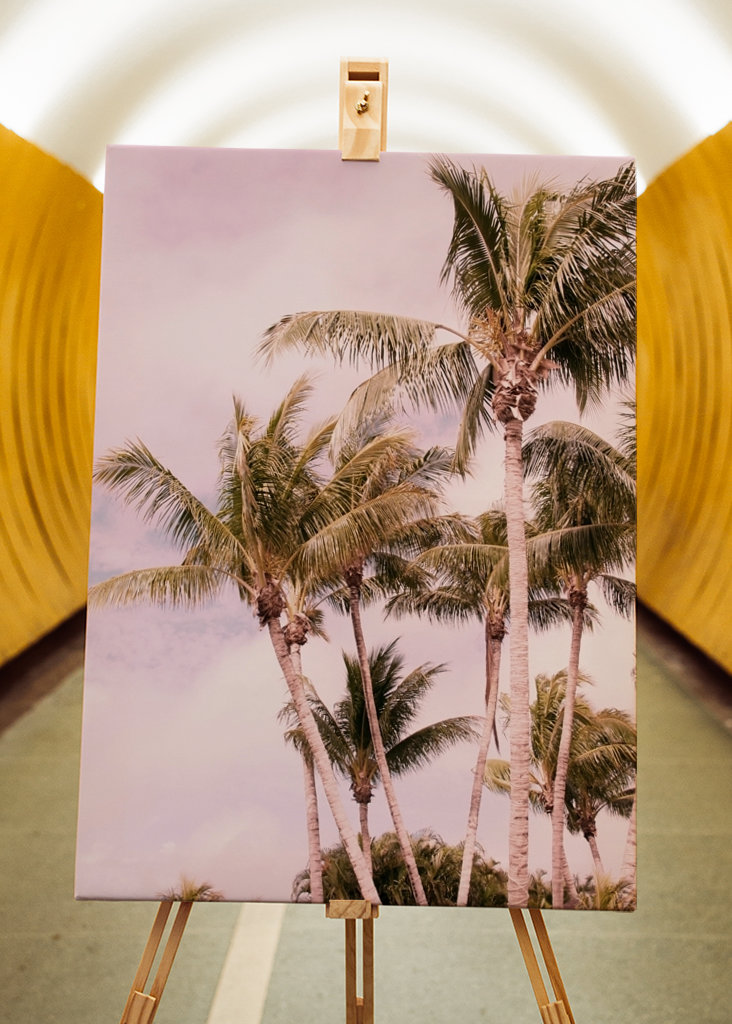 Palm Trees Finesse 1