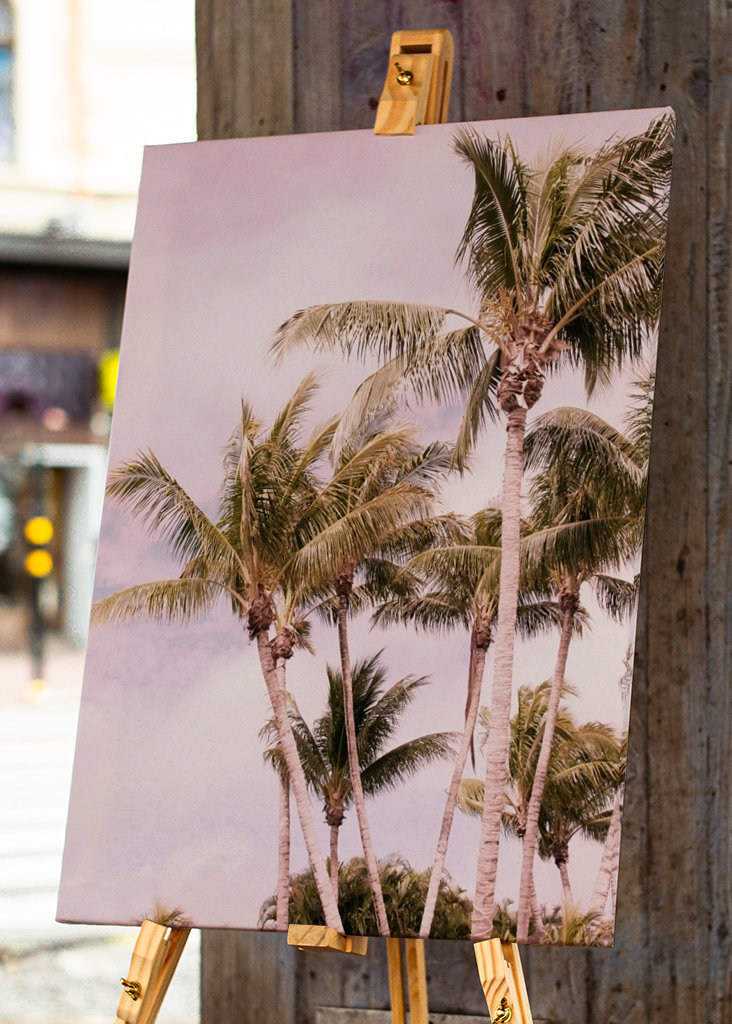 Palm Trees Finesse 1