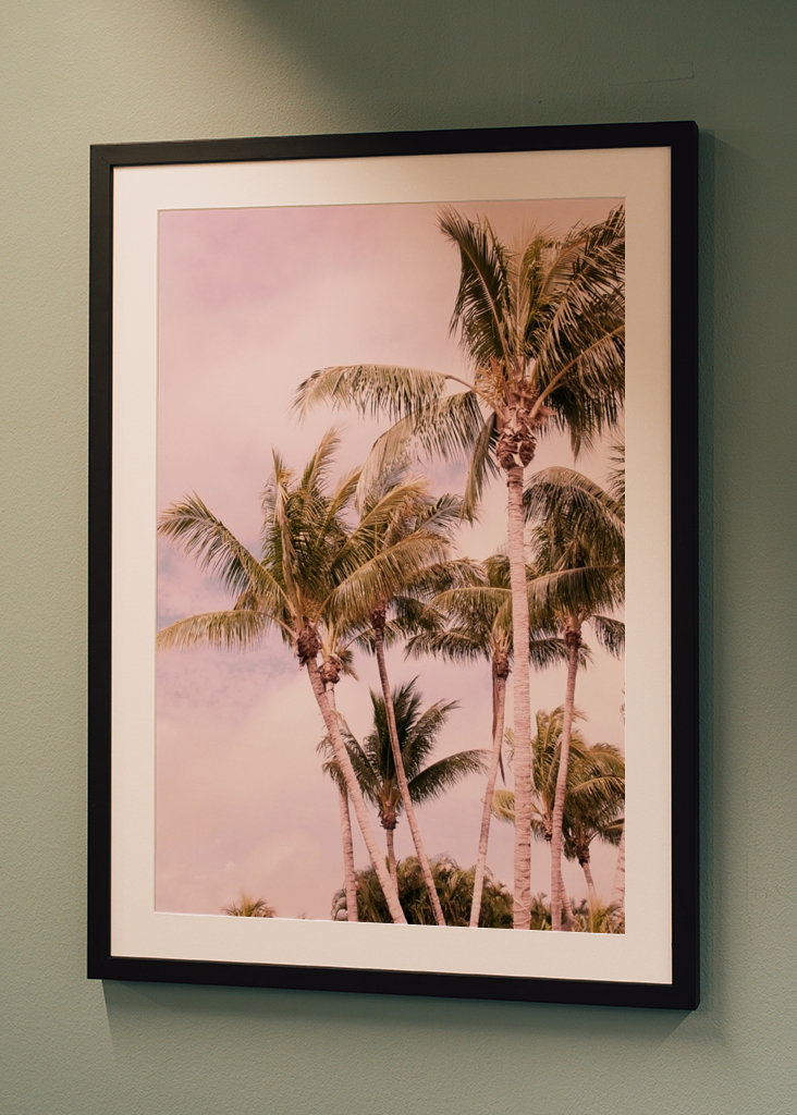 Palm Trees Finesse 1