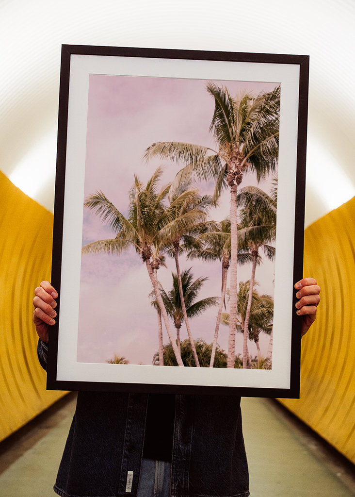 Palm Trees Finesse 1