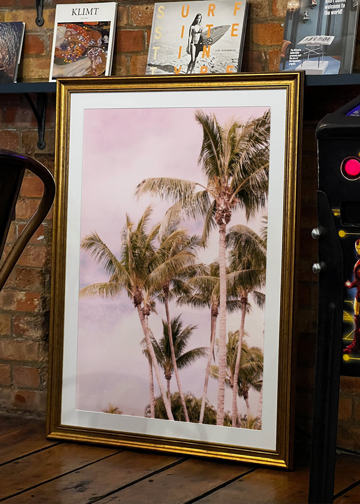 Palm Trees Finesse 1