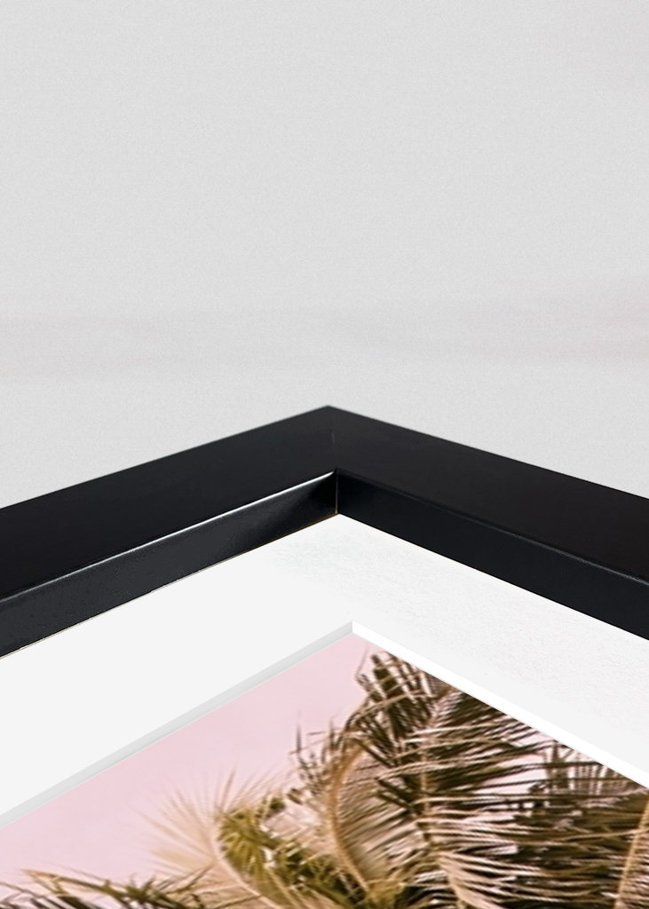 Palm Trees Finesse 1