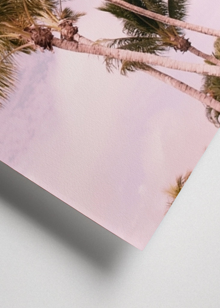 Palm Trees Finesse 1