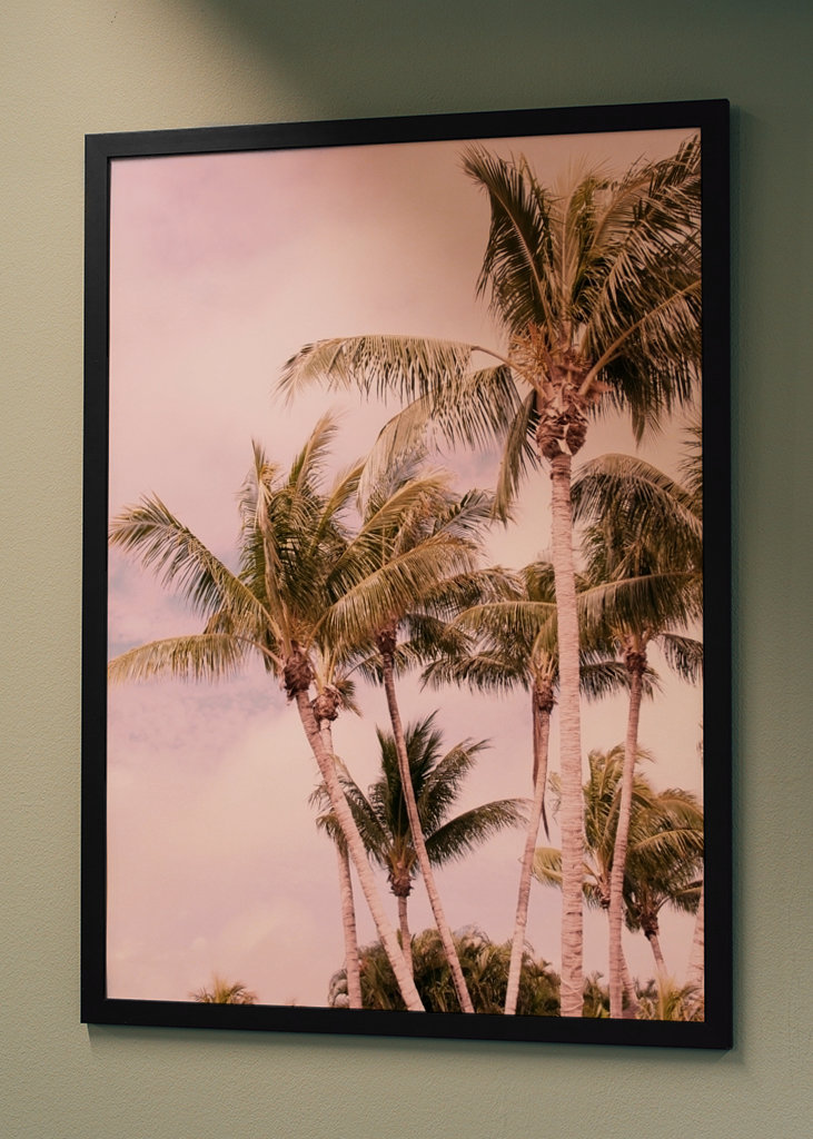 Palm Trees Finesse 1