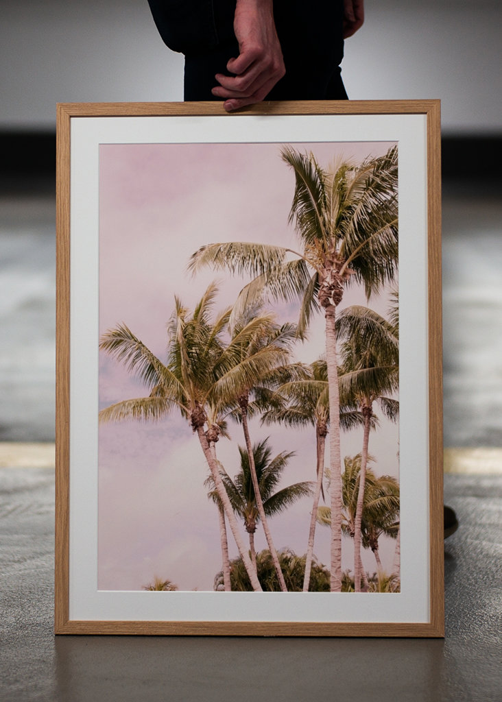 Palm Trees Finesse 1