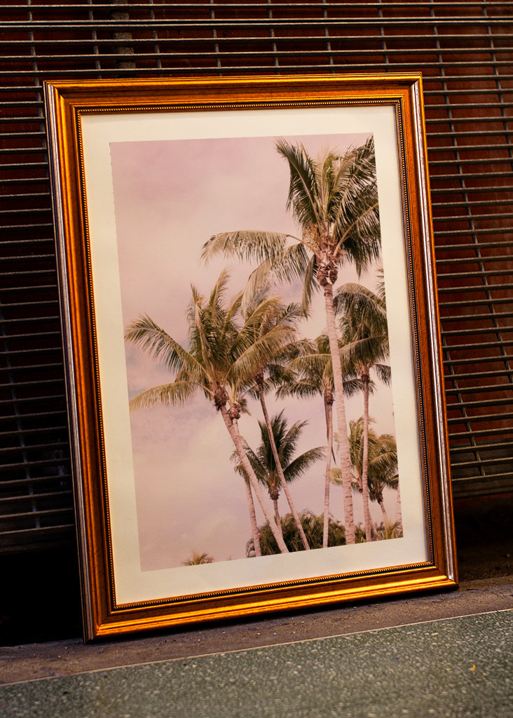 Palm Trees Finesse 1