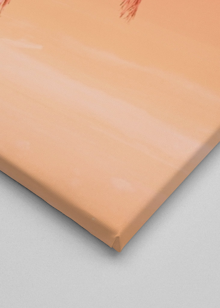 Palm Tree Beach Dream 1