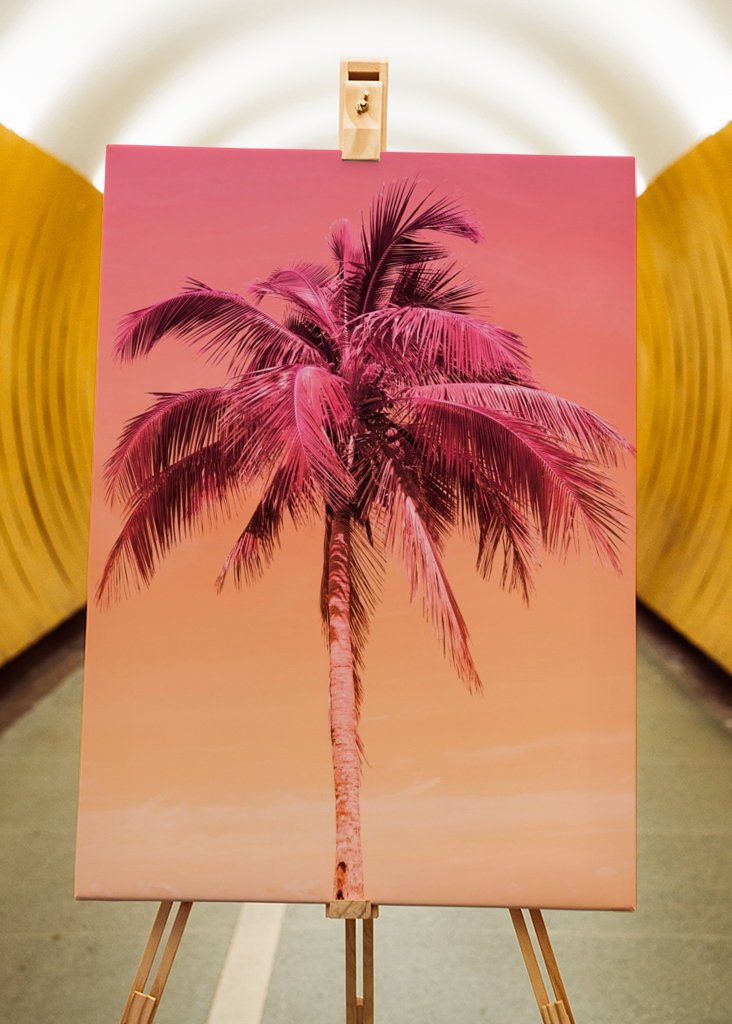 Palm Tree Beach Dream 1