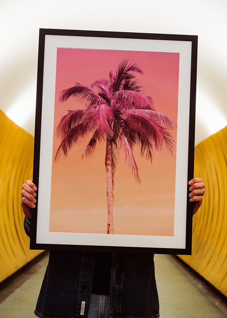 Palm Tree Beach Dream 1